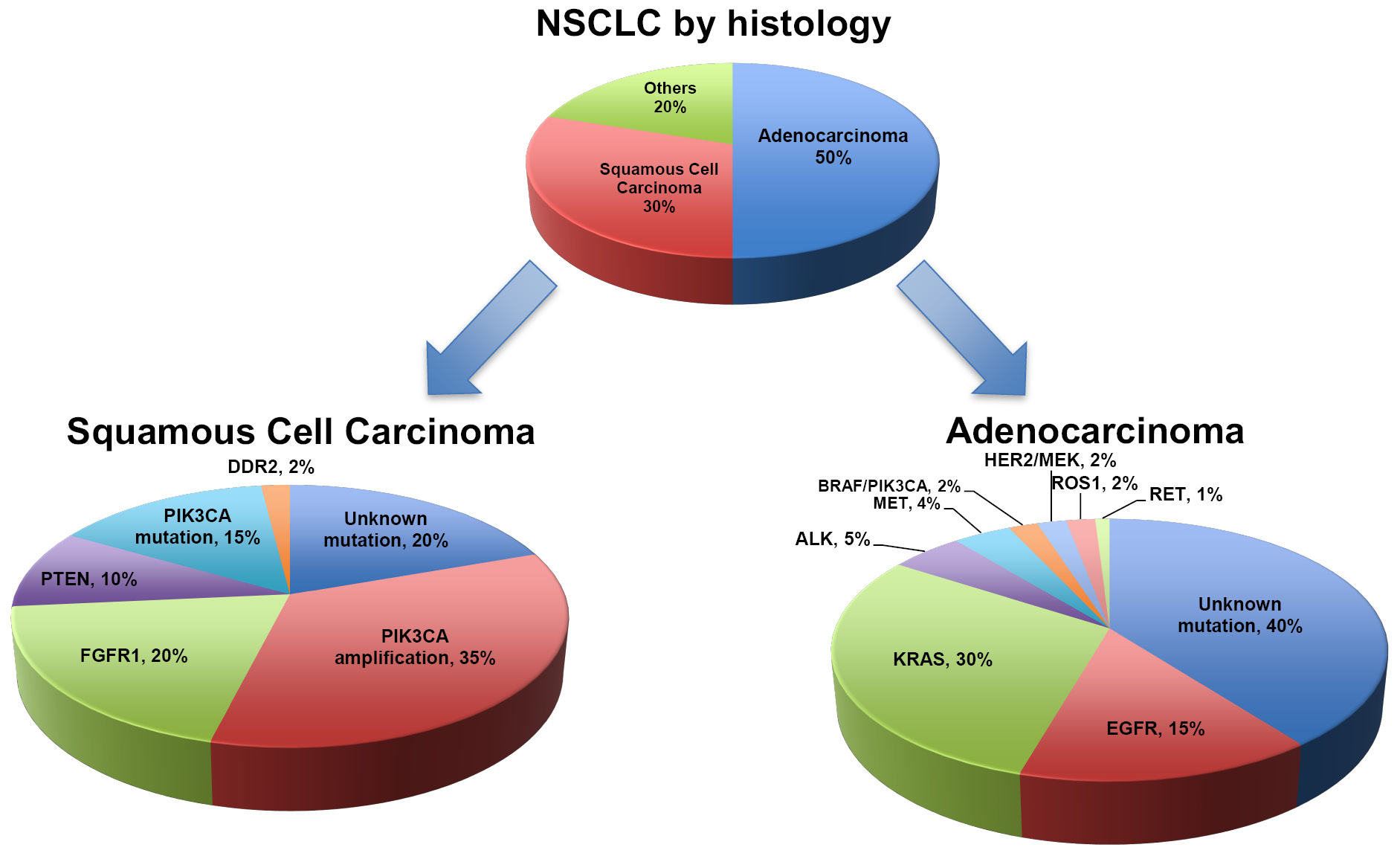 What is non-small cell carcinoma?